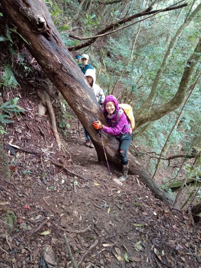 高島縱走20211023_1617912