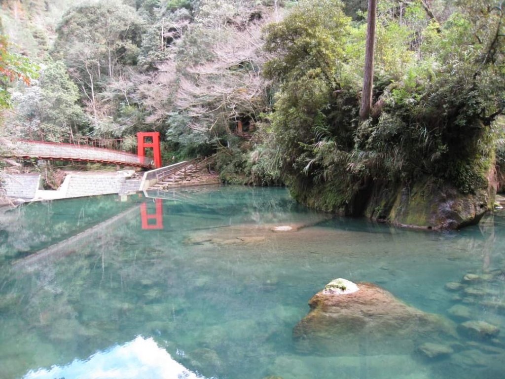 小百岳NO.48 彰化橫山。八卦山  猴探井 溪州公園，溪頭，杉林溪，大崙山銀杏茶園 中寮龍鳳瀑布_2268023