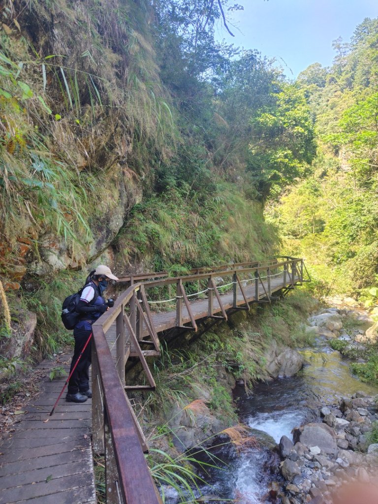 唐麻丹山 蝴蝶谷_2918987