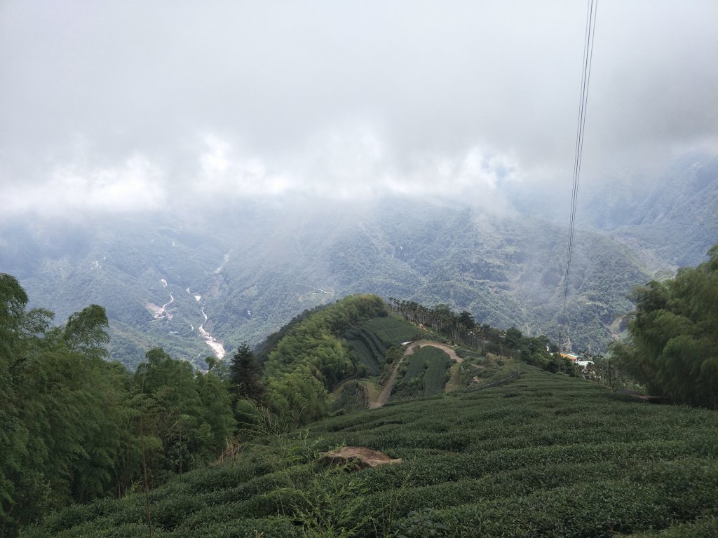 嘉義百大步道：桃荀古道與大尖山_1414709