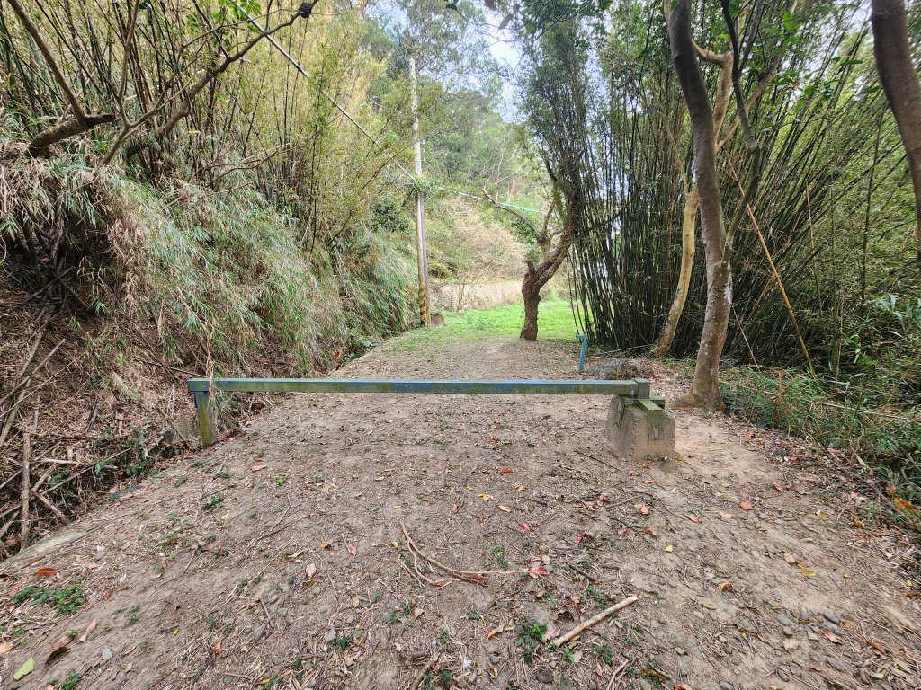 20260223柯子湖山菜堂山尖山沙湖壢山與寶山水庫基石_3012594
