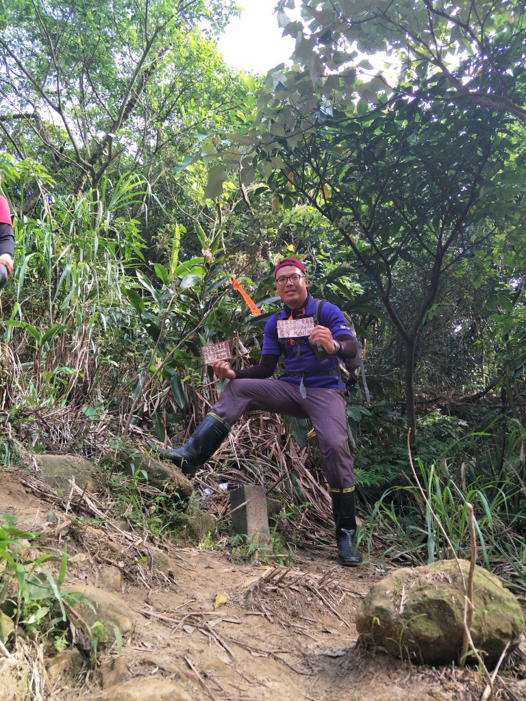 20190526劍龍、鋸齒、無耳茶壺山_593204