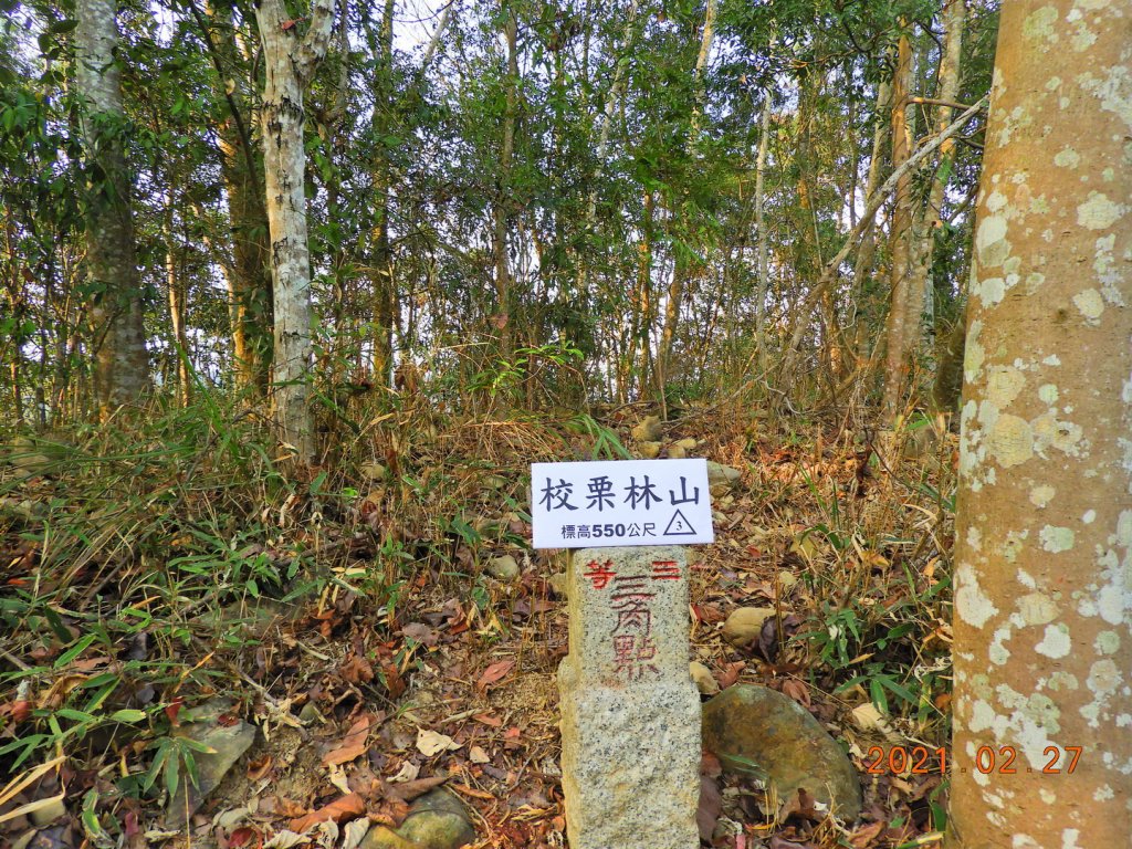 南投 國姓 校栗林山封面圖