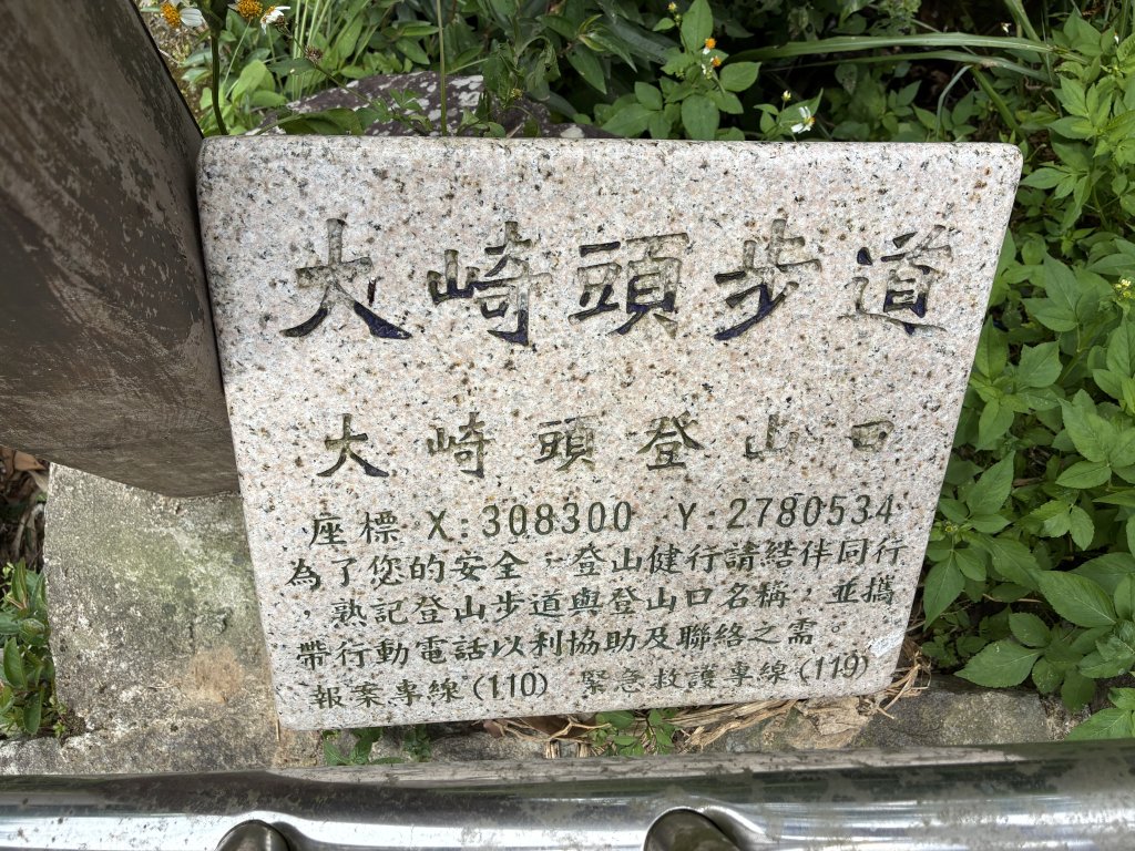 《坪頂古圳步道O形縱走｜大崎頭梯田、竹林秘境，夏日最涼的水圳步道》封面圖