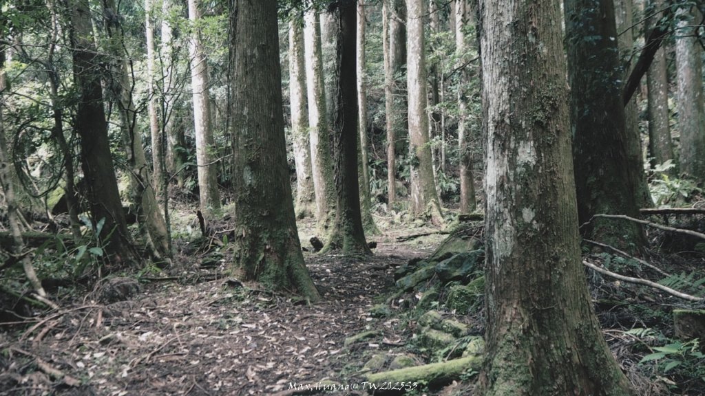 《苗栗》遺世鐵道｜悠遊加里山大坪支線至避難山屋20250822_2867587