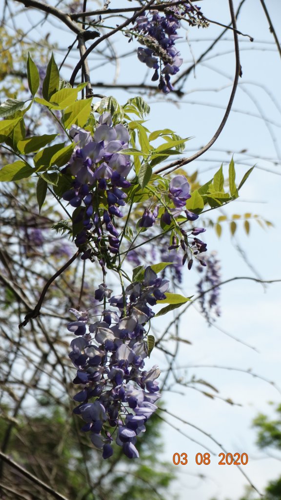 追花是簡單的快樂，賞花是恬淡的幸福。_871182