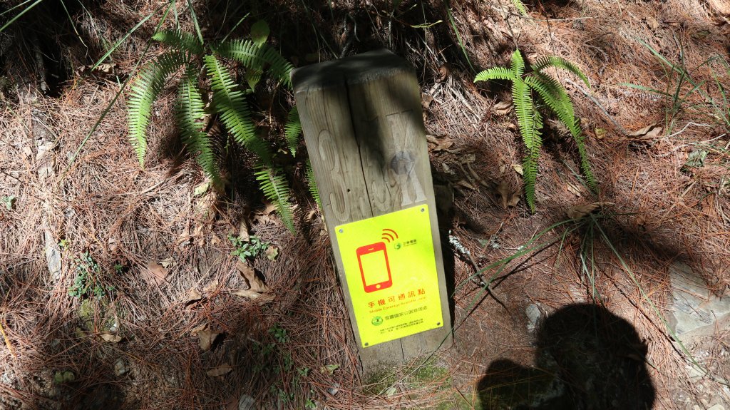 志佳陽大山登山健行趣(百岳47號)_1922602