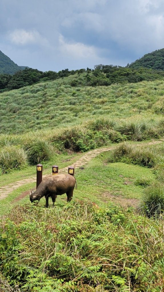 小油坑-風櫃口-20240825_2601456