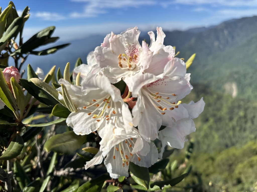 「臺灣小阿爾卑斯」鳶嘴山_2985294