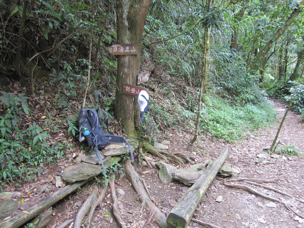 涼爽避暑的日湯真山_1031672