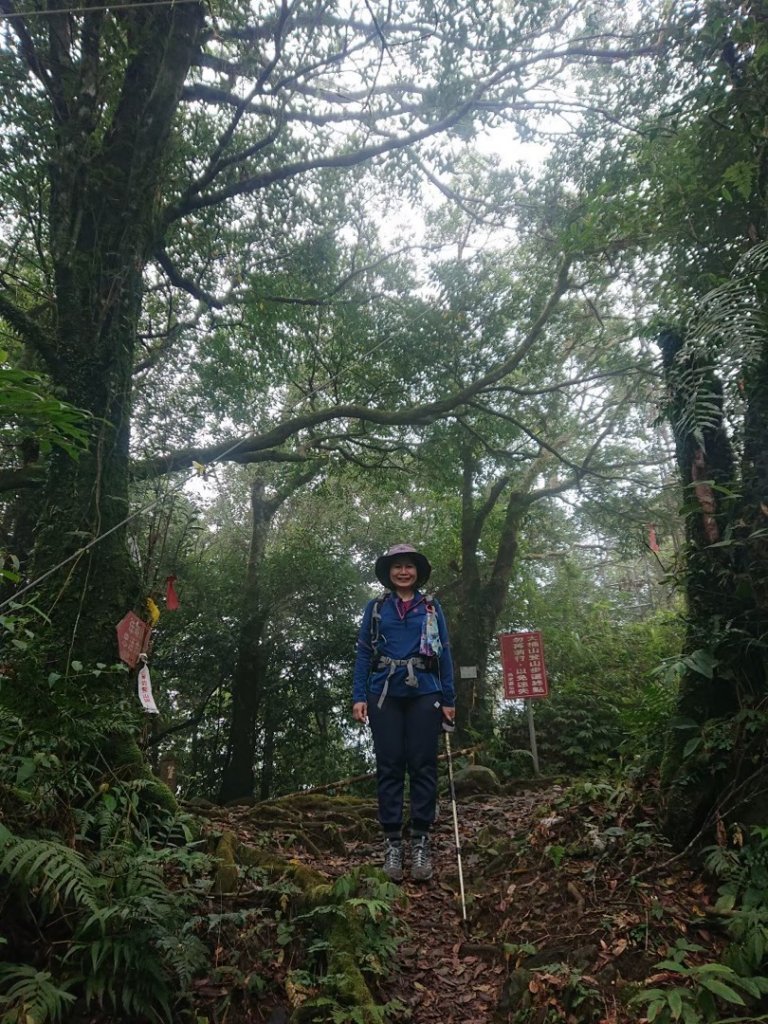 四崁水山、大桶山_1661836