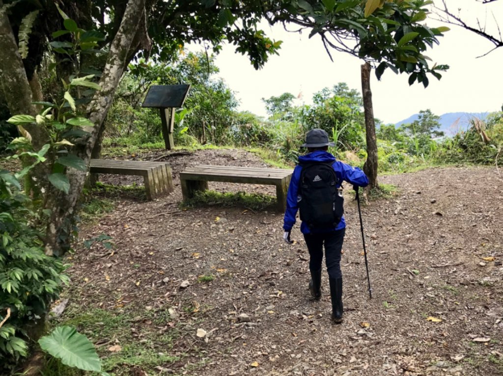 有咖啡香的太和山走坪溪古道_487782