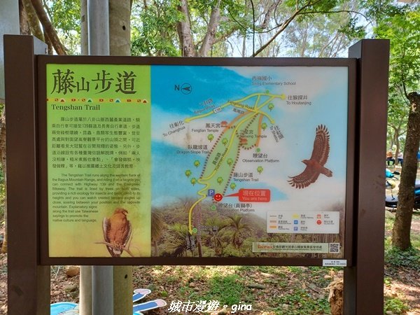 【彰化員林】員林百果山上最具人氣的休閒步道。 台灣百大必訪步道。 藤山步道_1689497
