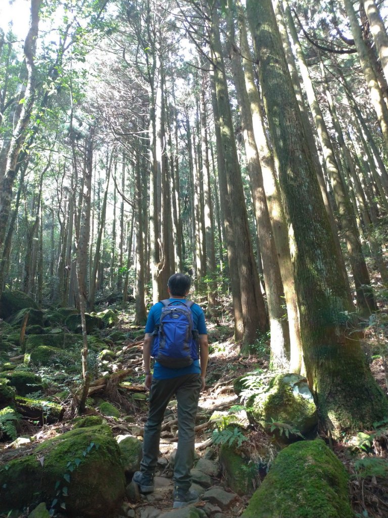 【苗栗縣南庄鄉】加里山-鹿場登山口_838790