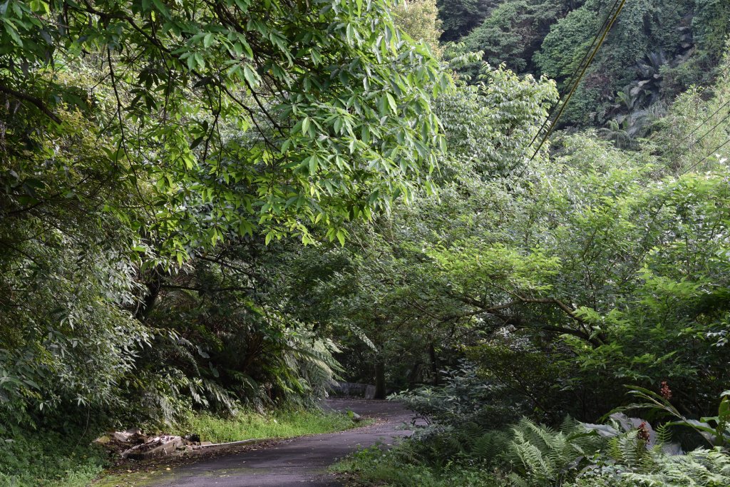 汐止大尖山_1435825