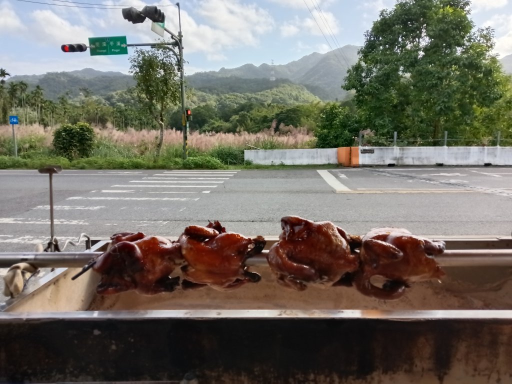 雙溪區冬陽下閃閃菅芒花_2949463