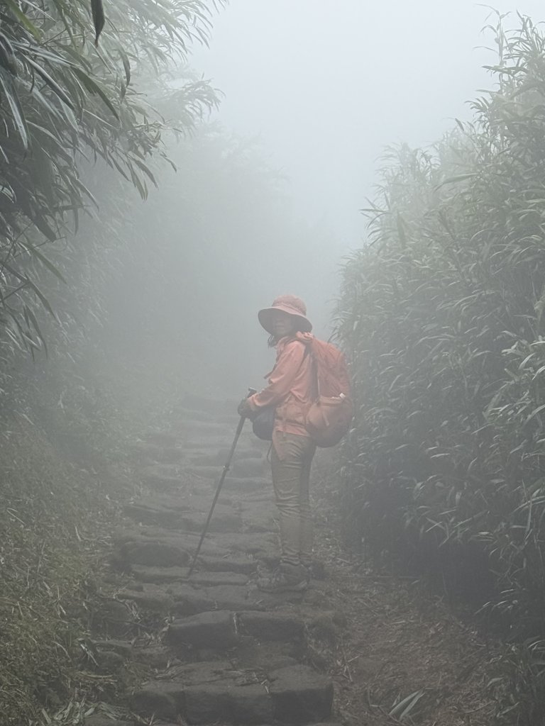 七星山 冷水坑上小油坑下環七星山人車分道O繞 20251108_2934897