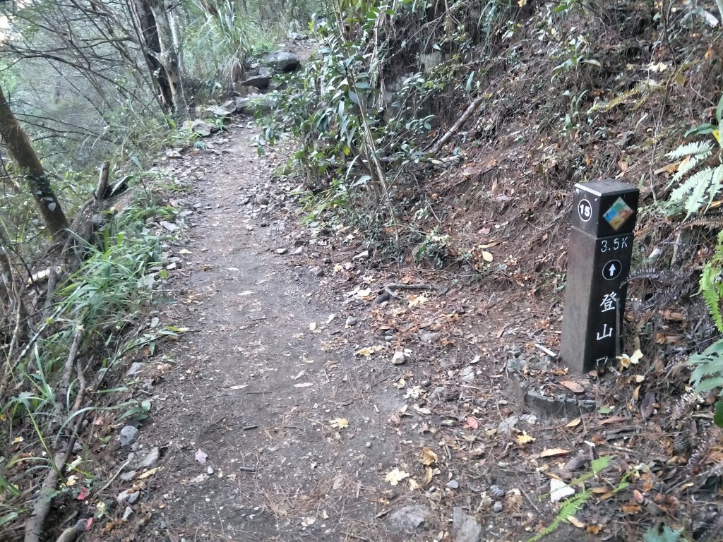 谷關七雄：屋東縱走-東卯山_1492292