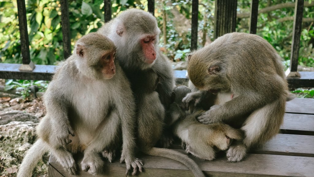 【台灣健行】壽山國家自然公園_2664207