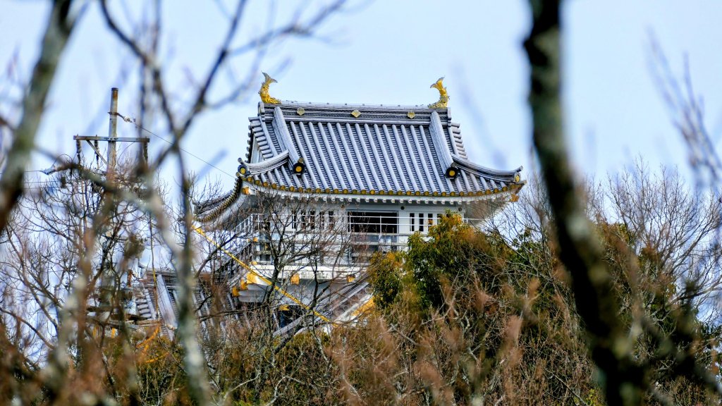 織田信長的天下夢封面圖