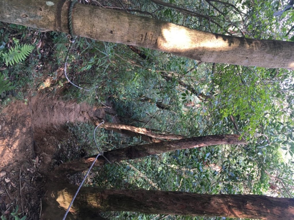 五酒桶山、南崁山_2693348