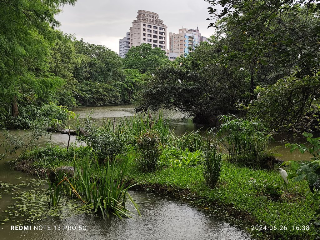 大安森林公園【走路趣尋寶】【臺北健走趣】_2536290