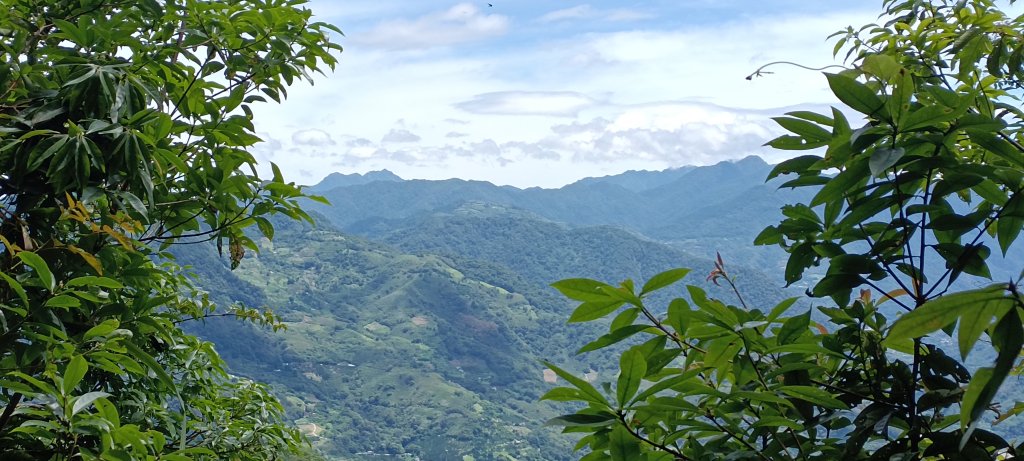 2024/06/30-大克山砲台古道封面圖