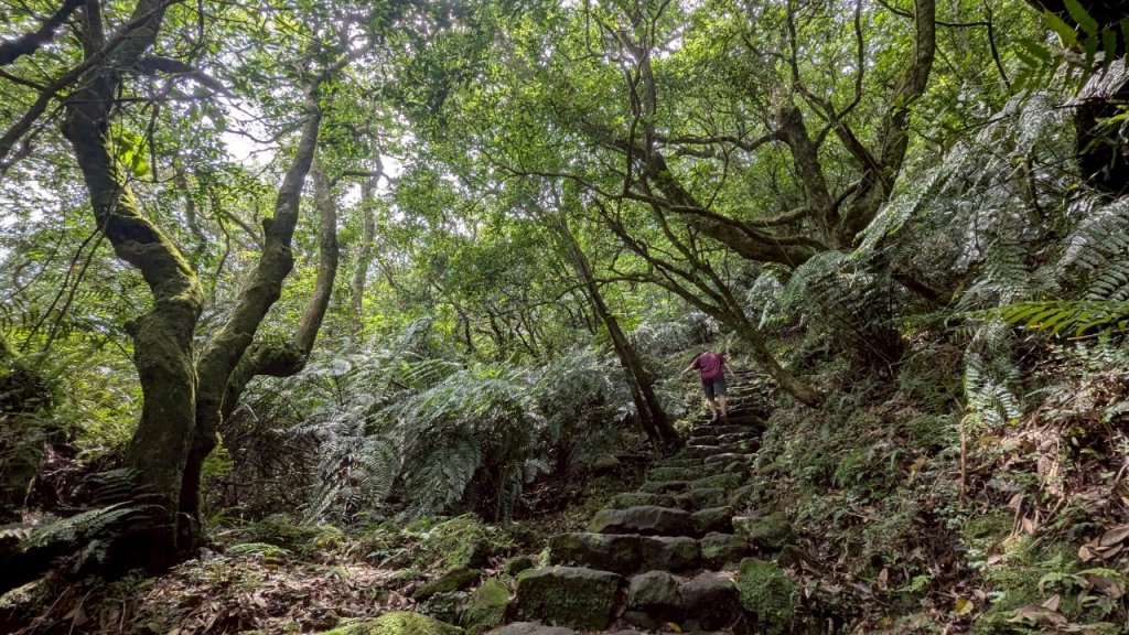 114.07.13三進三出七星山之旅_2837158