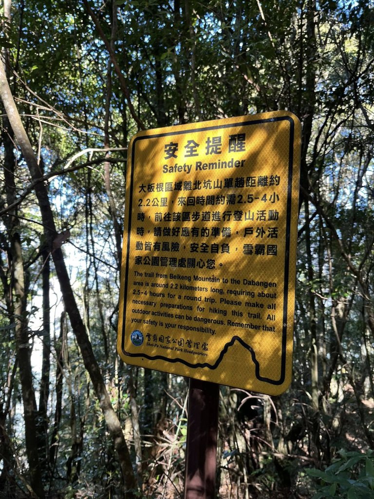 雪見大板根_2959257