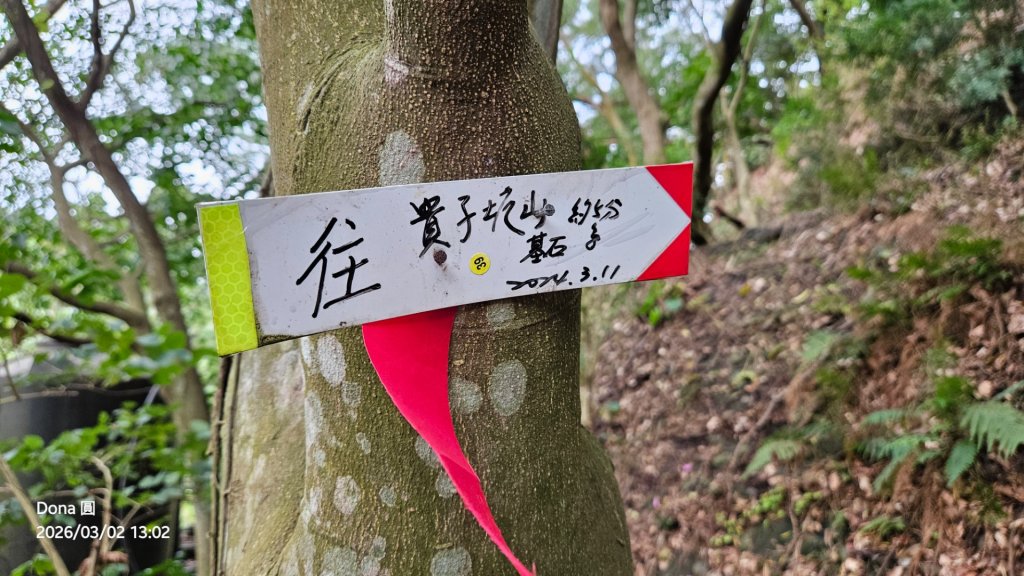 20260302忠義山.小坪頂山.貴子坑山大O走_3009915