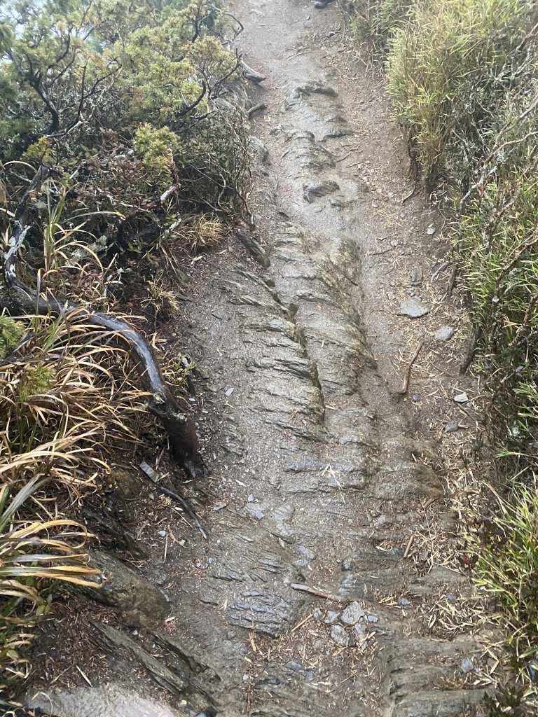 合歡北暴風雨大撤退_1432264