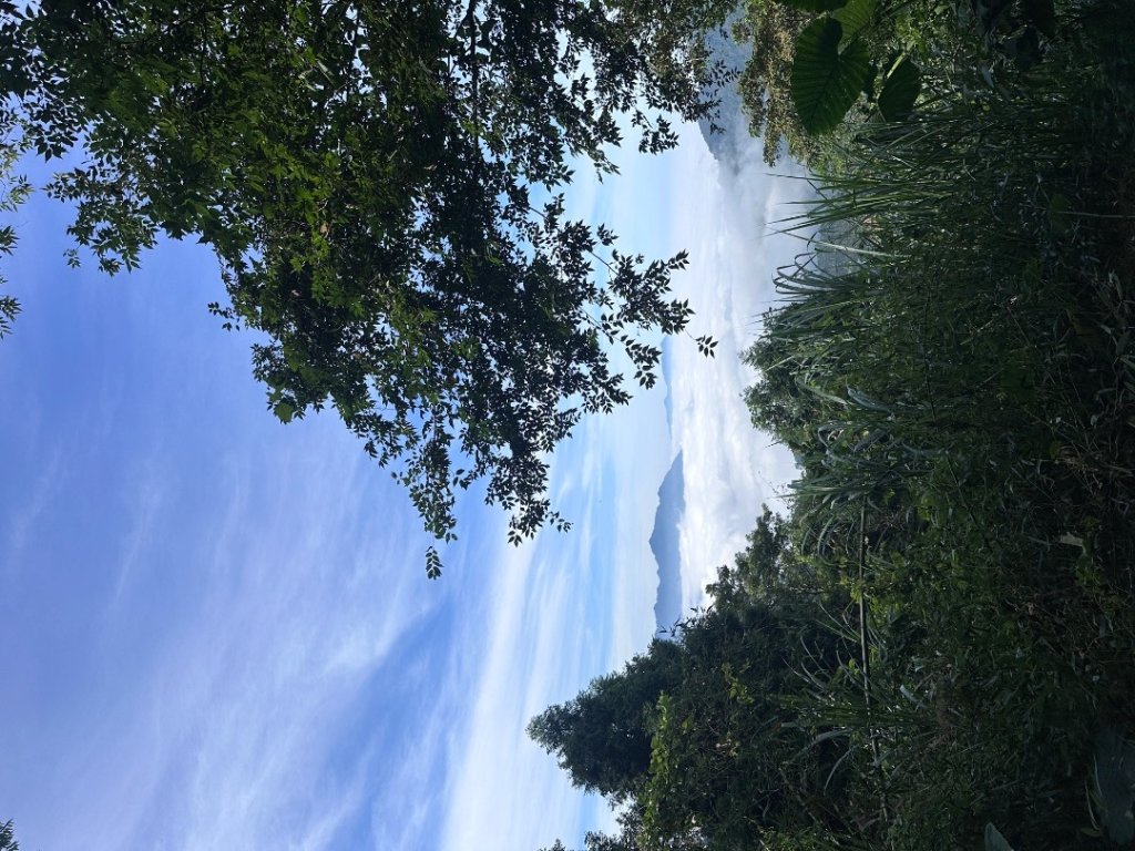 061嘉義竹崎-大湖尖山_2634090