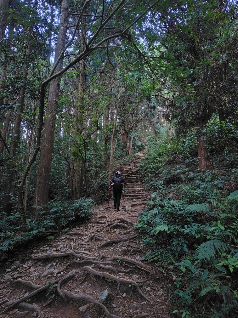 長壽山、肥崠山、醜崠山、大崠山、大崠山經建版_2931516