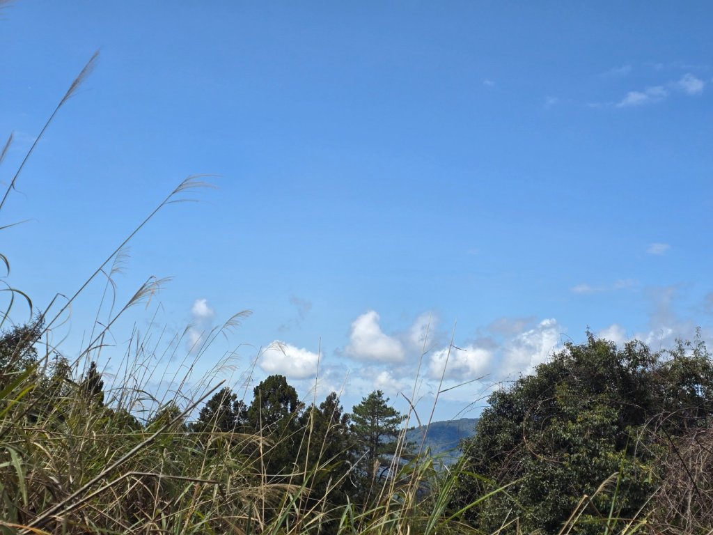 谷關七熊馬崙山_2748785