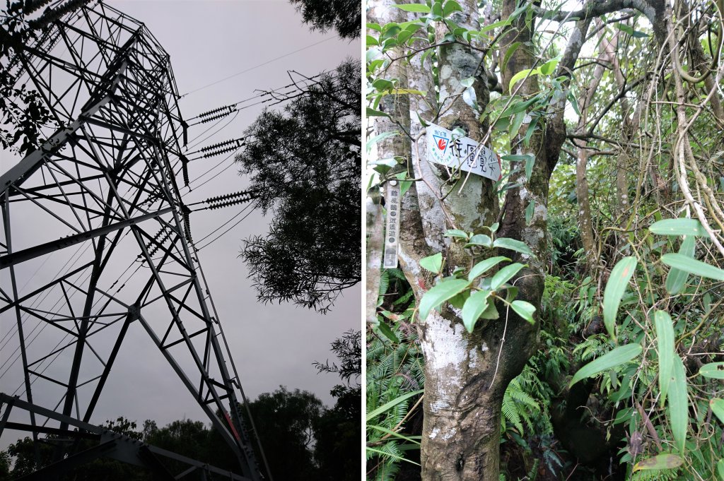 內湖三尖-圓覺尖+忠勇山+鯉魚山_685824