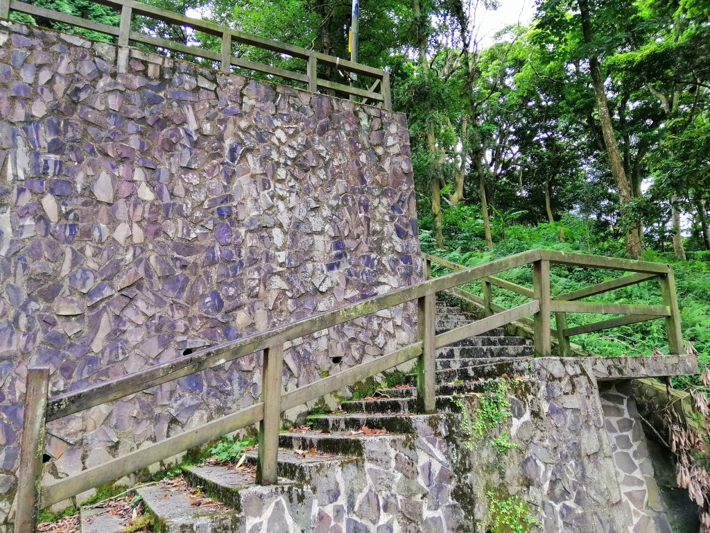 悠悠古道森林浴。 鳴鳳山遊憩區_735653