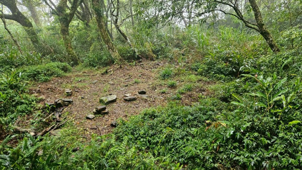 20250413浸水營古道_2760330