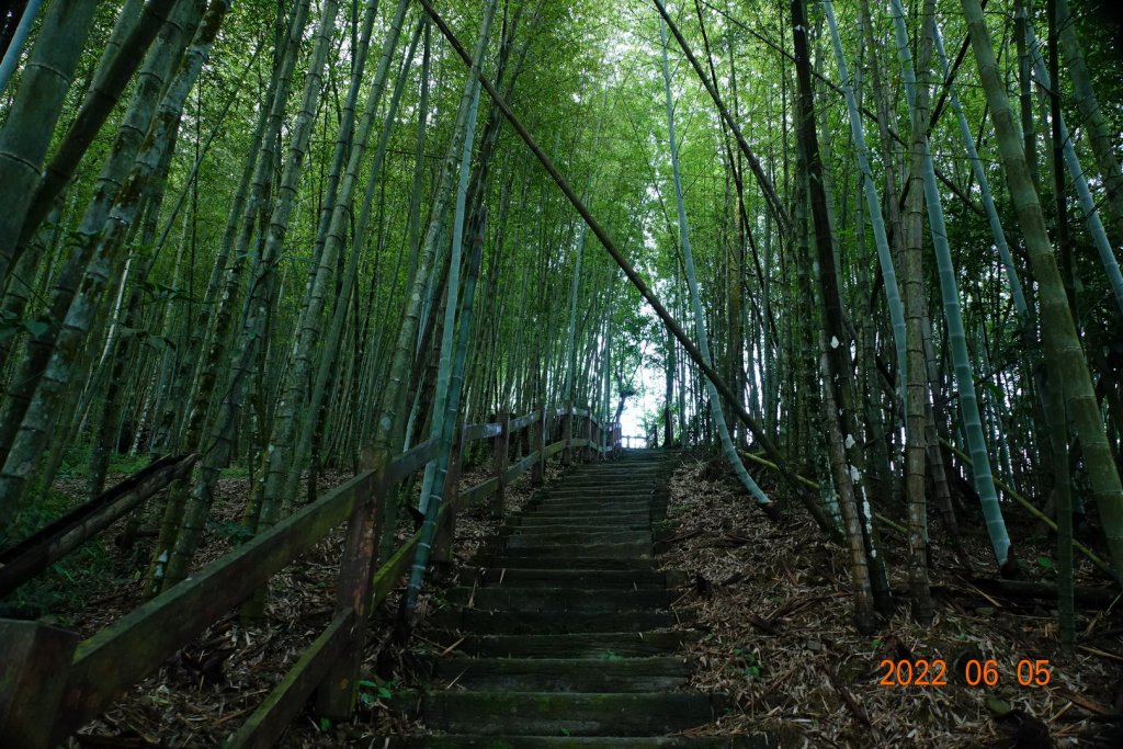 嘉義 竹崎 篤鼻山_1731322
