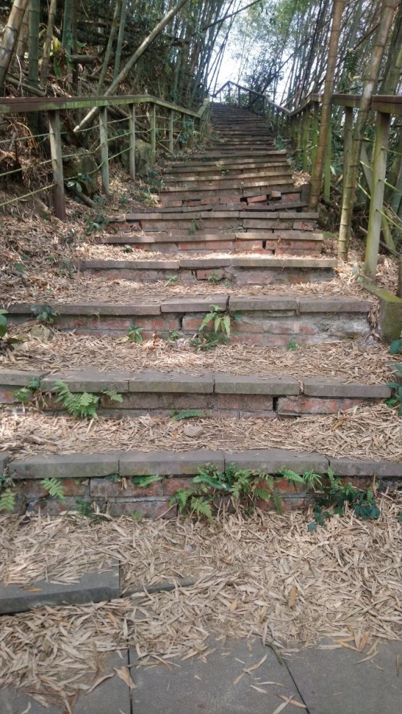 樟湖山、後棟仔山、大尖山、二尖山4山連走_1336970