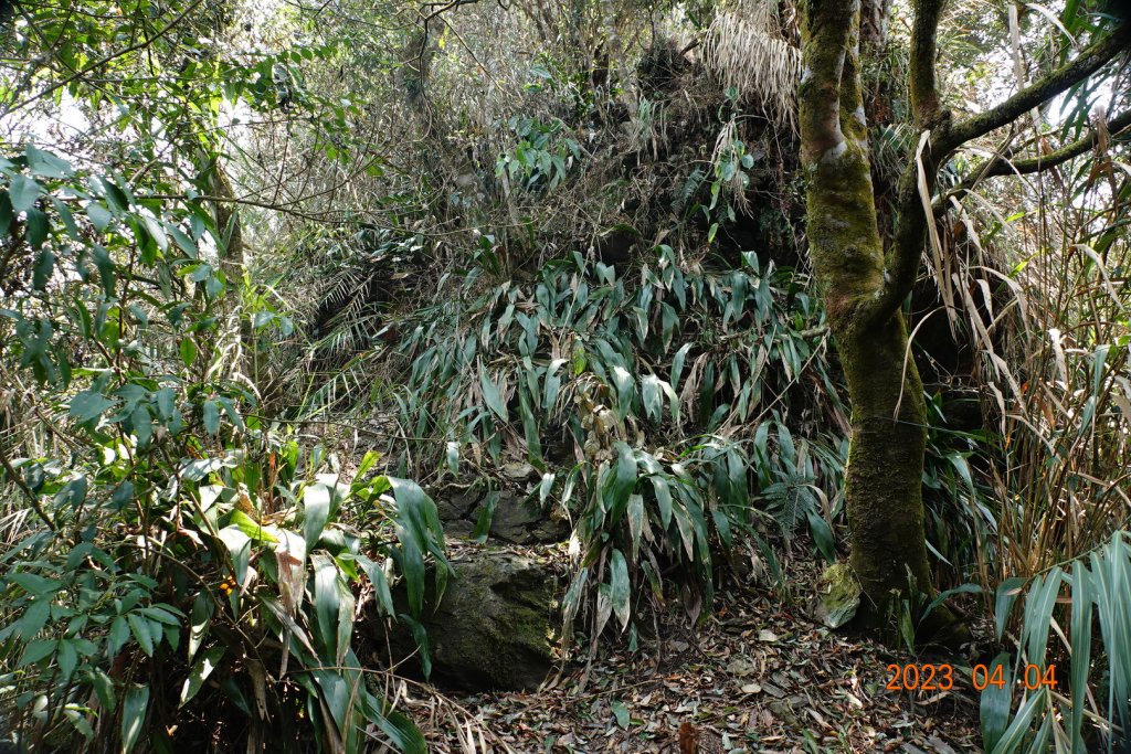 屏東 瑪家、泰武 真笠山、鱈葉根山、日湯真山_2103131