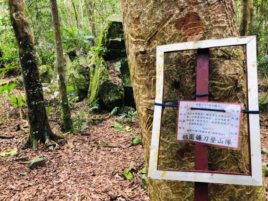 1090307上島山_870893