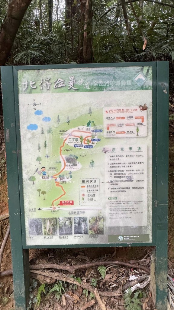 20250101內鳥嘴山北得拉曼步道_2681535
