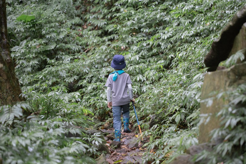 台北秘境之旅（三板橋-大屯溪古道-小觀音山西北峰）_1789612