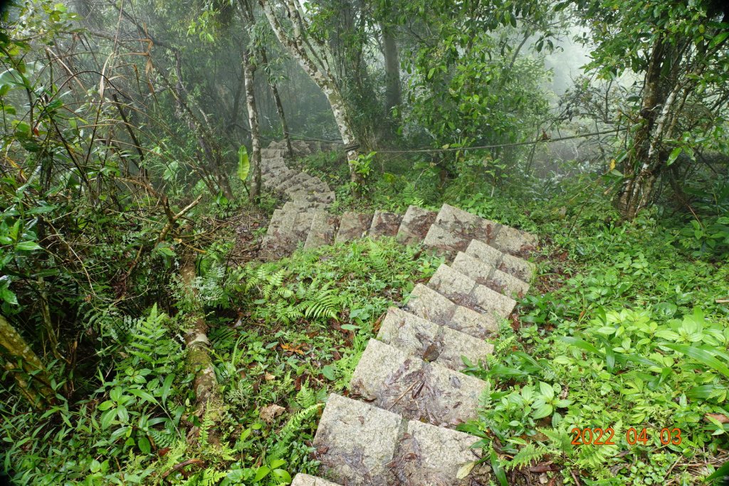 臺南 楠西 竹子尖山_1664812