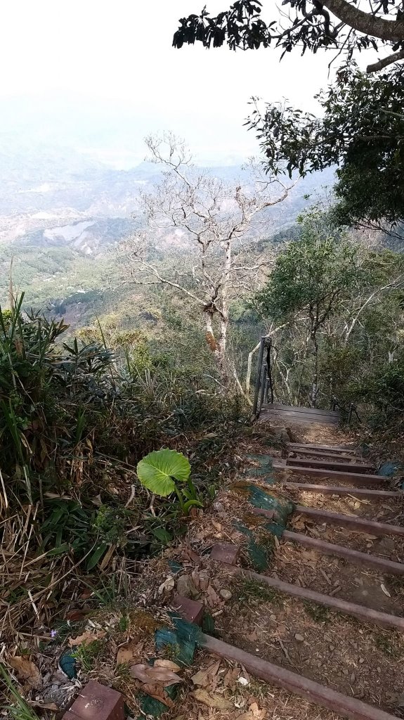 230312-撿一座被遺忘的小百岳#067 竹子尖山。美美兔階梯陡上稜線O型環走一圈。_2116544