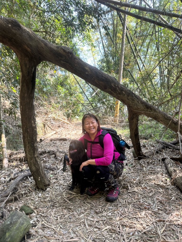 高雄美濃月光山_2734920