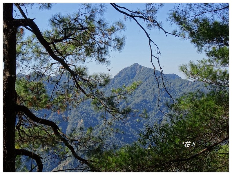 谷關七雄/東卯山2_855183