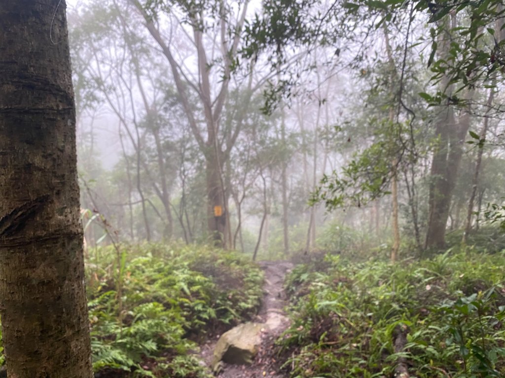 苗栗泰安-水雲三星-虎山_2612792