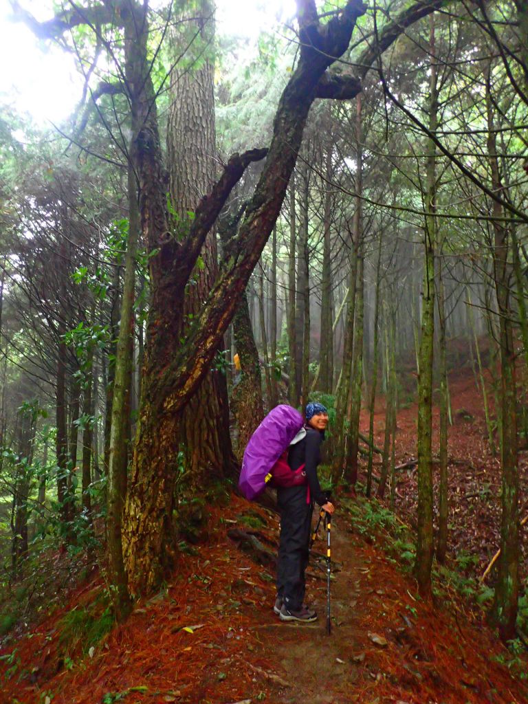 北一段 南湖前四峰_377604