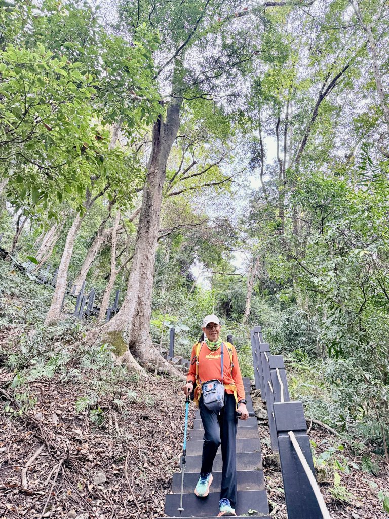 雪山坑步道悠遊順訪雪山坑山(再訪)  2025.12.3_2953781